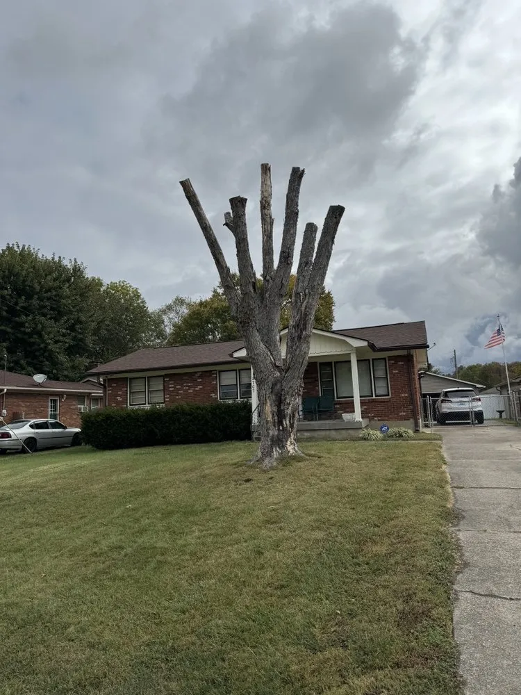 Custom garden landscaping in Shelbyville, KY by Jeremy Tree Service & Landscaping