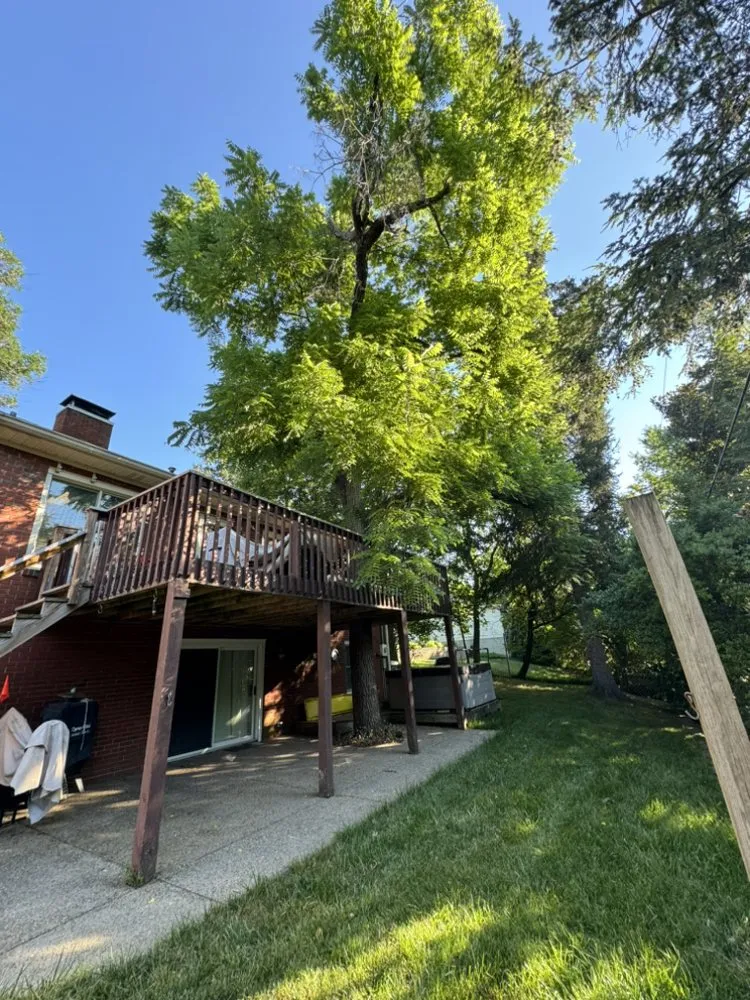 Local landscaping services for residential properties across Shelbyville, KY - Jeremy Tree Service & Landscaping