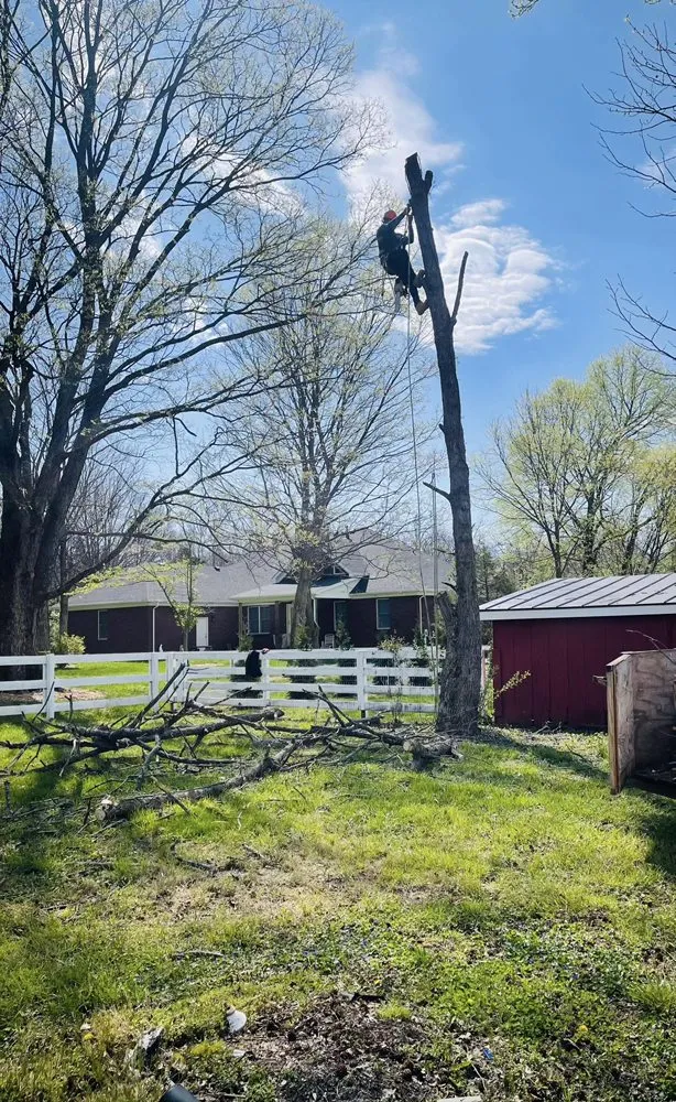 Custom garden landscaping for beautiful yards in Shelbyville, KY by Jeremy Tree Service & Landscaping