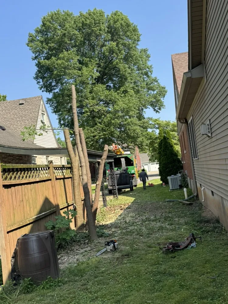 Custom landscaping services experts serving Shelbyville, KY - Jeremy Tree Service & Landscaping