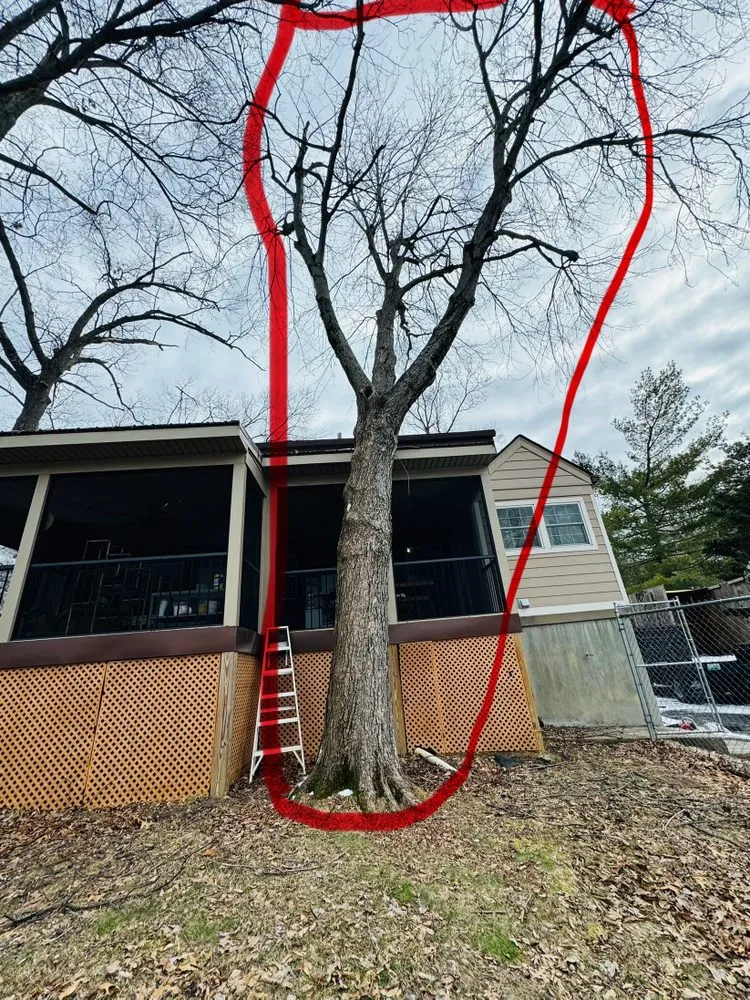 Affordable garden landscaping with custom design in Shelbyville, KY by Jeremy Tree Service & Landscaping