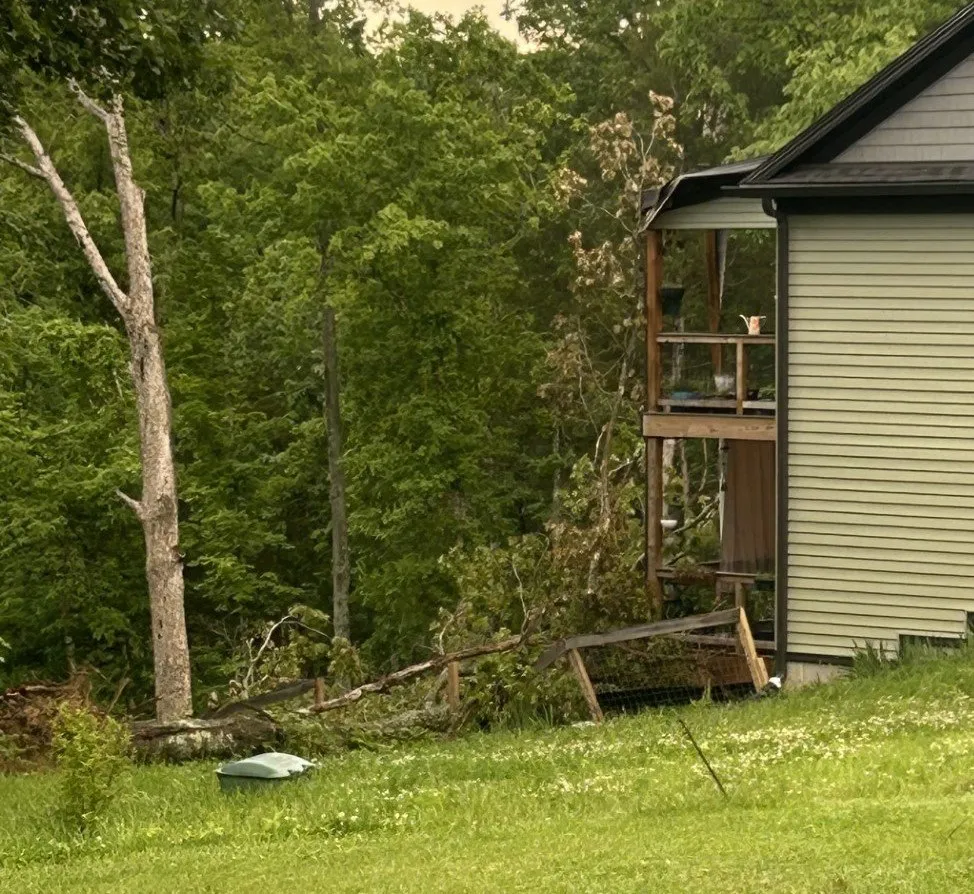 Expert lawn care service near you in Shelbyville, KY by Jeremy Tree Service & Landscaping