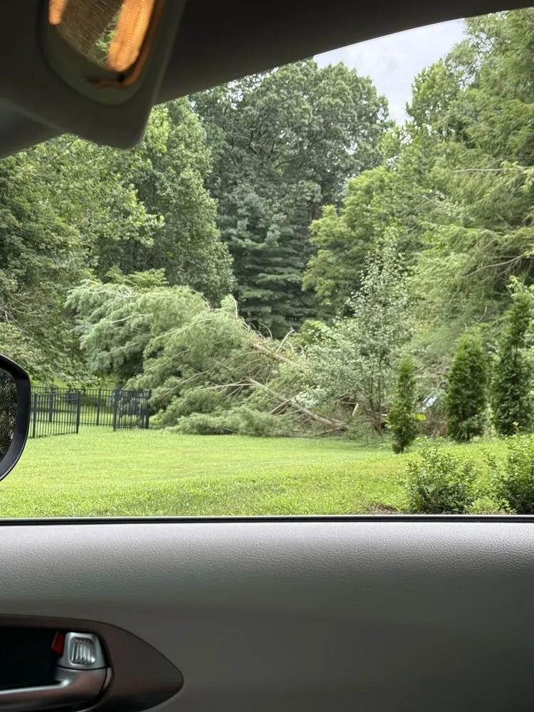 Top-rated yard cleanup service experts serving Shelbyville, KY - Jeremy Tree Service & Landscaping