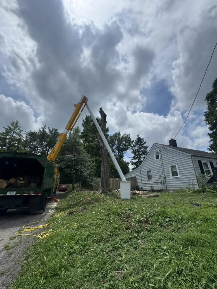 Custom lawn care service for year-round maintenance in Shelbyville, KY by Jeremy Tree Service & Landscaping