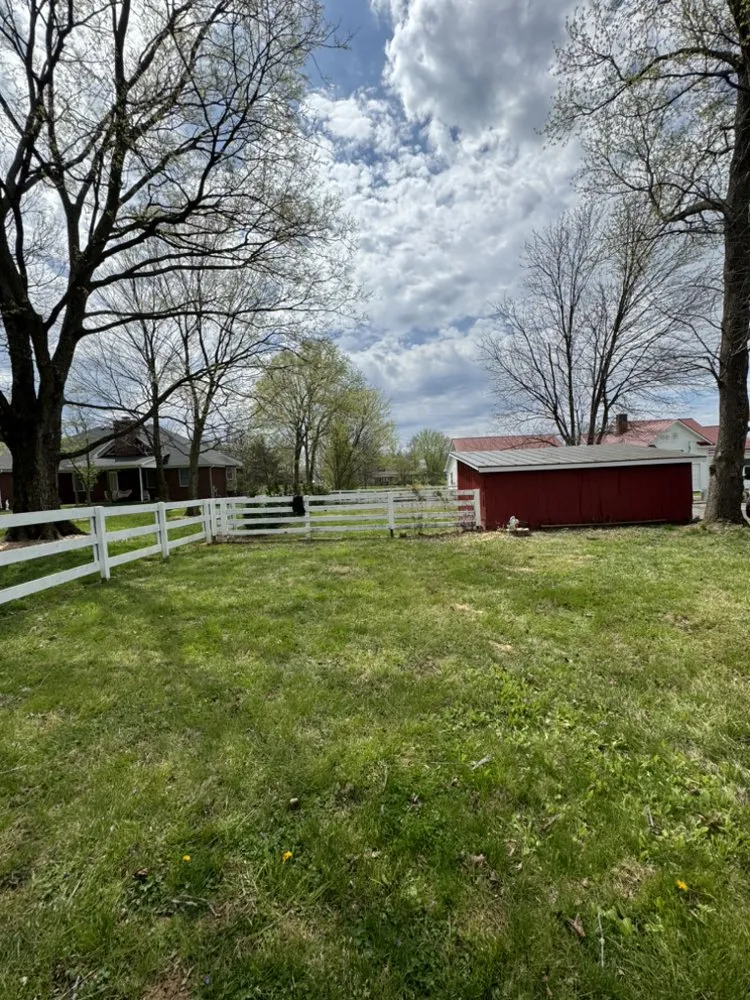 Reliable yard cleanup service in Shelbyville, KY by Jeremy Tree Service & Landscaping