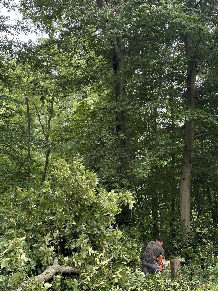 Affordable residential landscaping in Shelbyville, KY - Jeremy Tree Service & Landscaping