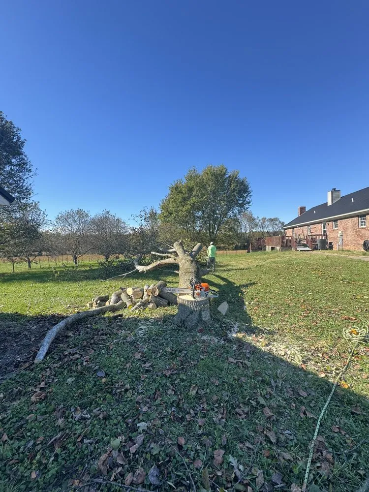 Professional landscaping services for residential properties in Shelbyville, KY by Jeremy Tree Service & Landscaping