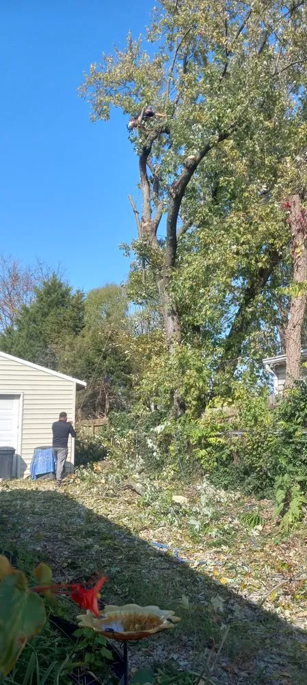 Top-rated yard maintenance near you in Shelbyville, KY by Jeremy Tree Service & Landscaping