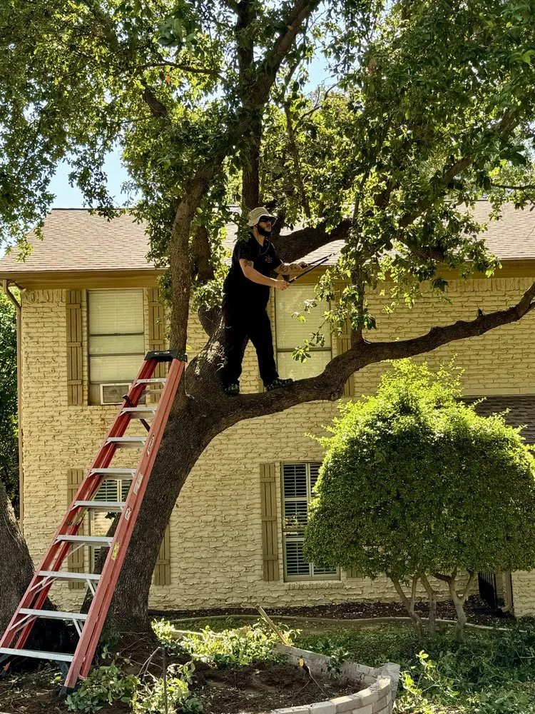 Professional residential landscaping in Justin, TX - Jeremy Tutle Home & Garden