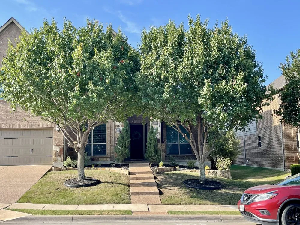 Affordable lawn care service experts serving Justin, TX - Jeremy Tutle Home & Garden