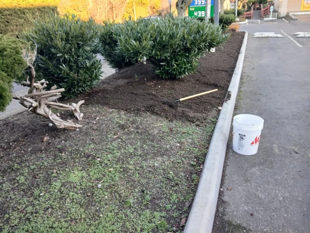 Top-rated outdoor landscaping in Bellingham, WA by Jeremys Landscaping Services