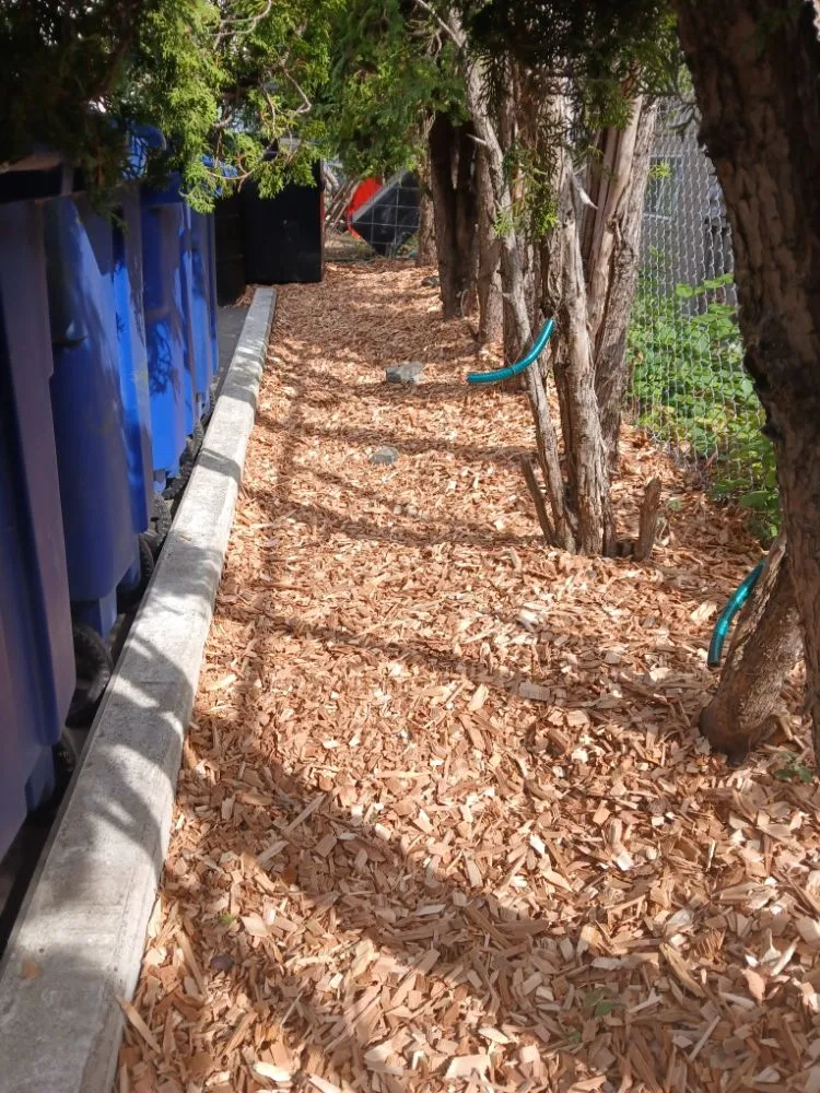 Top-rated landscaping services in Bellingham, WA - Jeremys Landscaping Services