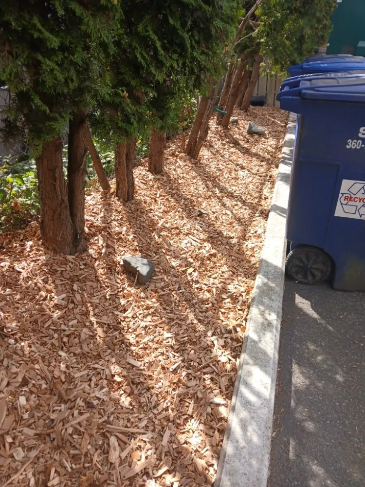 Custom landscape design with custom design in Bellingham, WA by Jeremys Landscaping Services