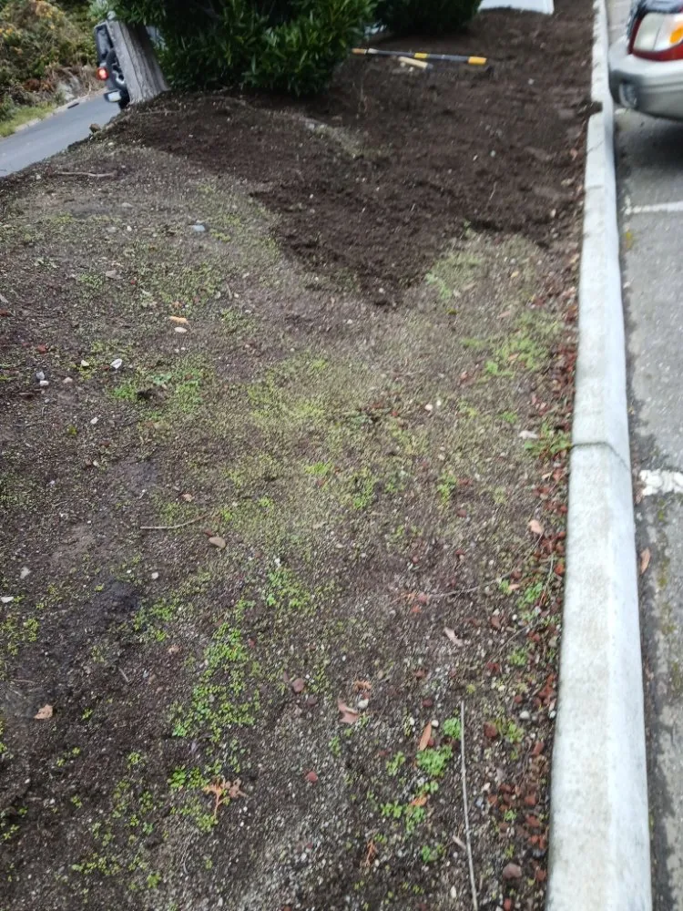 Trusted landscape design for homes in Bellingham, WA by Jeremys Landscaping Services