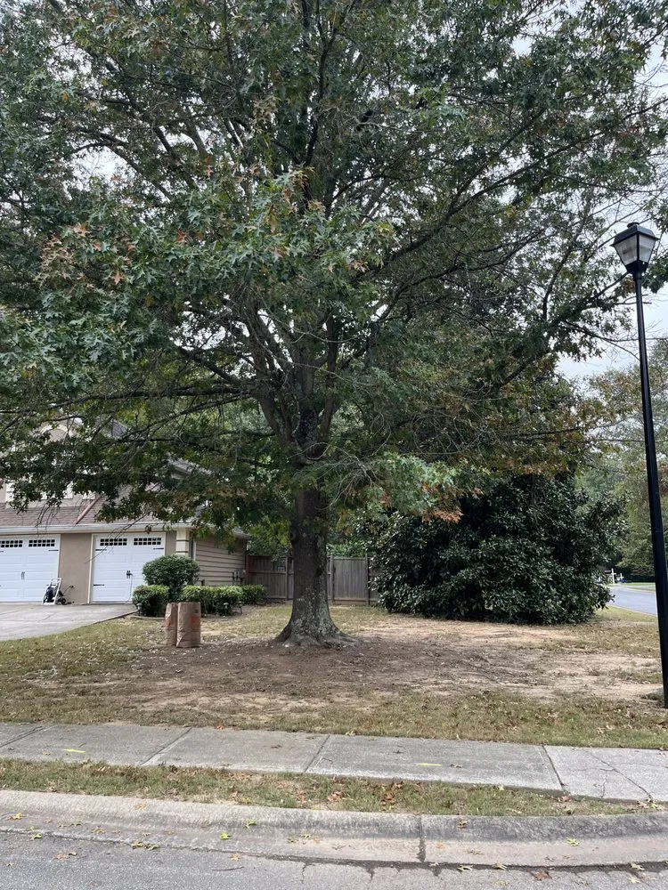 Trusted yard maintenance for year-round maintenance in Taylorsville, GA by Jeremy’s Lawn Maintenance