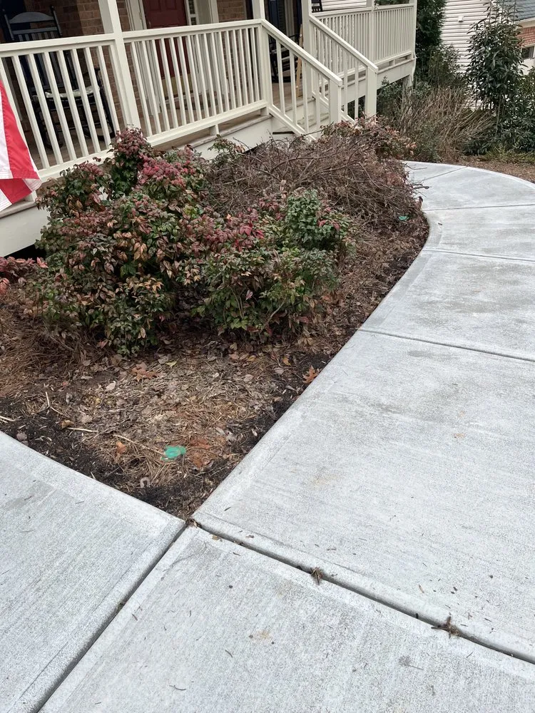 Expert yard maintenance in Taylorsville, GA by Jeremy’s Lawn Maintenance