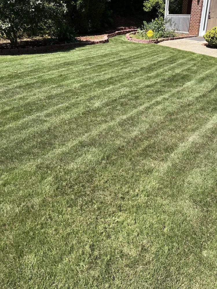 Professional yard cleanup service for year-round maintenance across Taylorsville, GA - Jeremy’s Lawn Maintenance