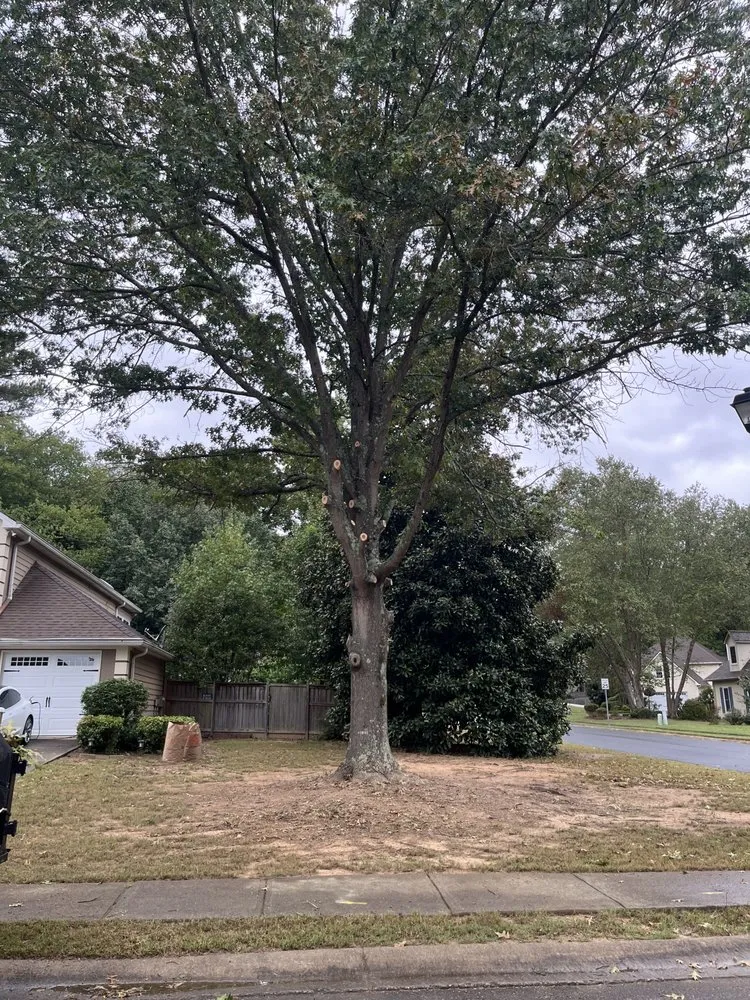 Custom lawn care service in Taylorsville, GA by Jeremy’s Lawn Maintenance
