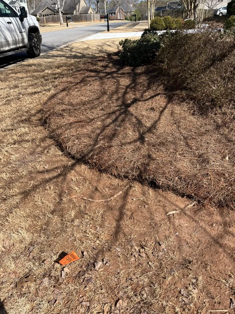 Affordable landscape installation in Taylorsville, GA by Jeremy’s Lawn Maintenance