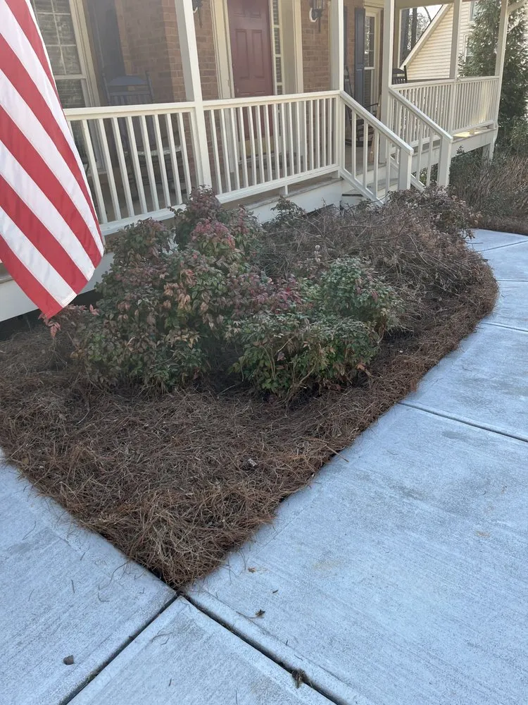 Expert lawn mowing service for homes in Taylorsville, GA by Jeremy’s Lawn Maintenance