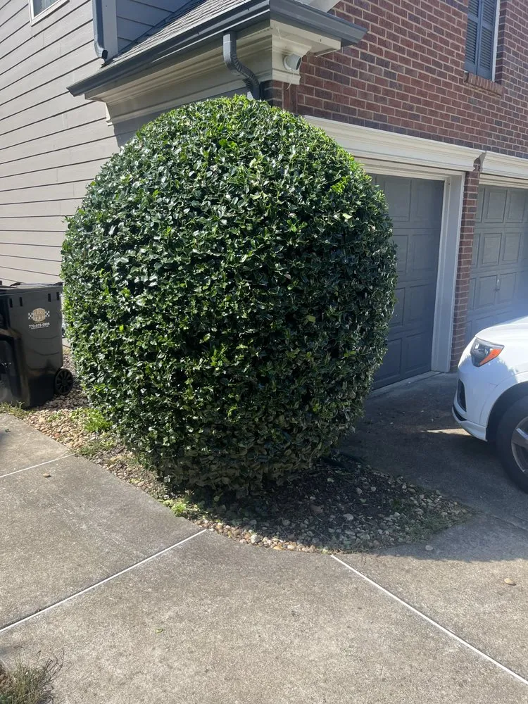 Professional residential landscaping in Taylorsville, GA - Jeremy’s Lawn Maintenance