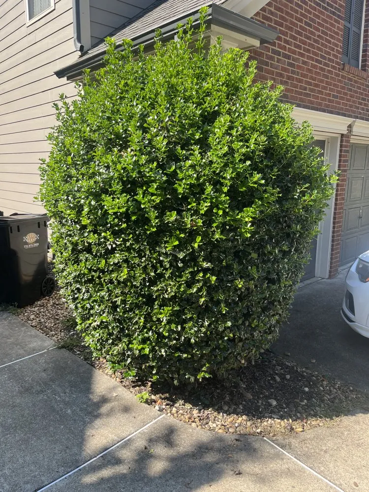 Custom landscaping services in Taylorsville, GA - Jeremy’s Lawn Maintenance