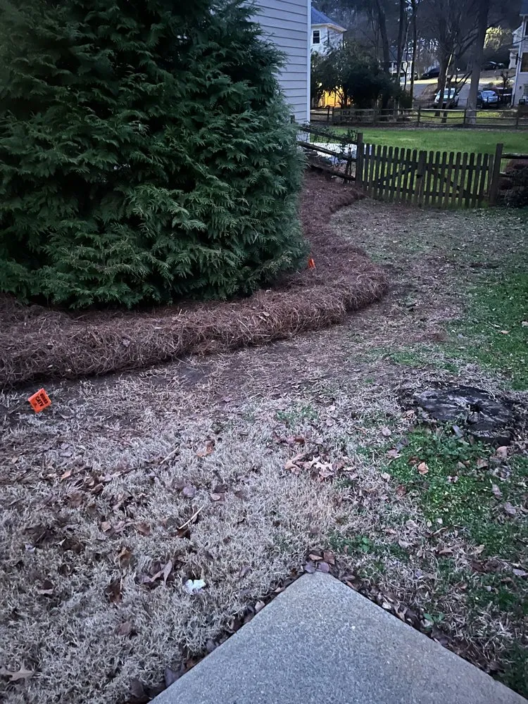 Professional residential landscaping for outdoor upgrades in Taylorsville, GA by Jeremy’s Lawn Maintenance