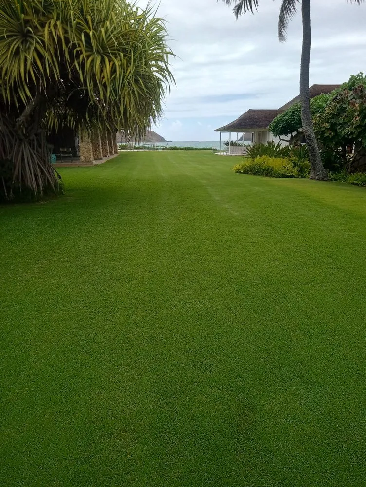 Trusted garden landscaping experts serving Kailua, HI - Jeremys Maintenance