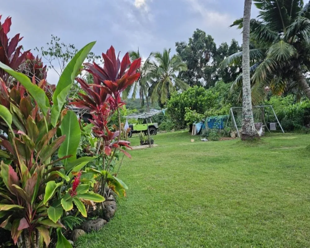 Reliable lawn care service in Kailua, HI by Jeremys Maintenance