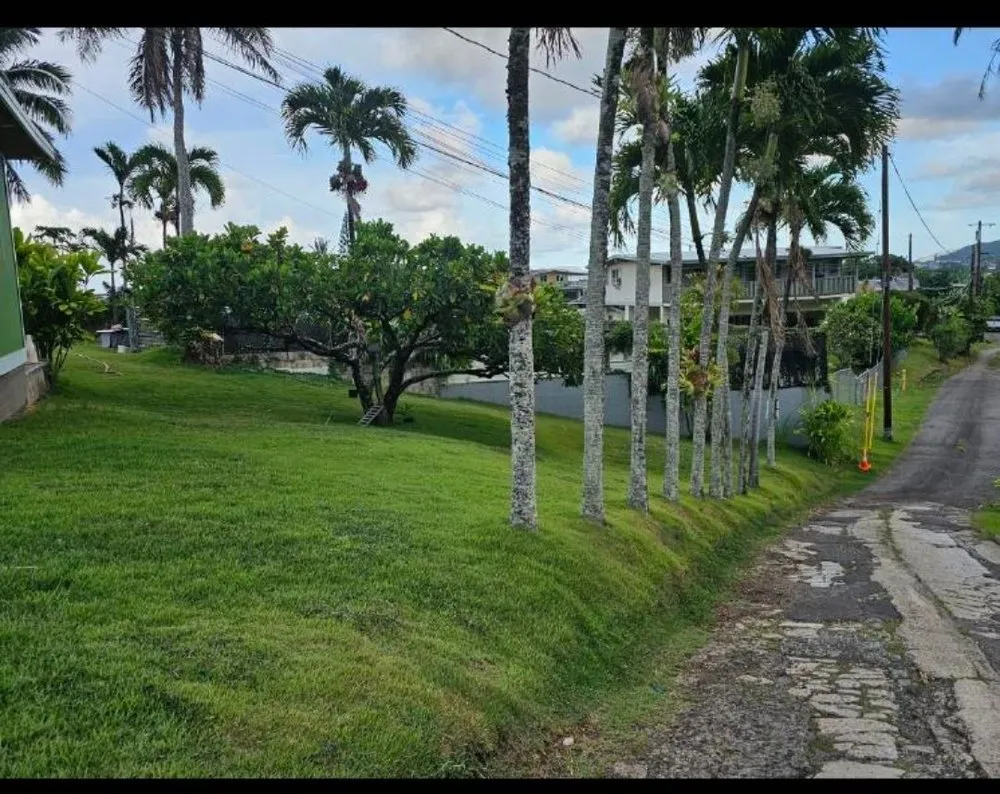 Expert yard maintenance experts serving Kailua, HI - Jeremys Maintenance