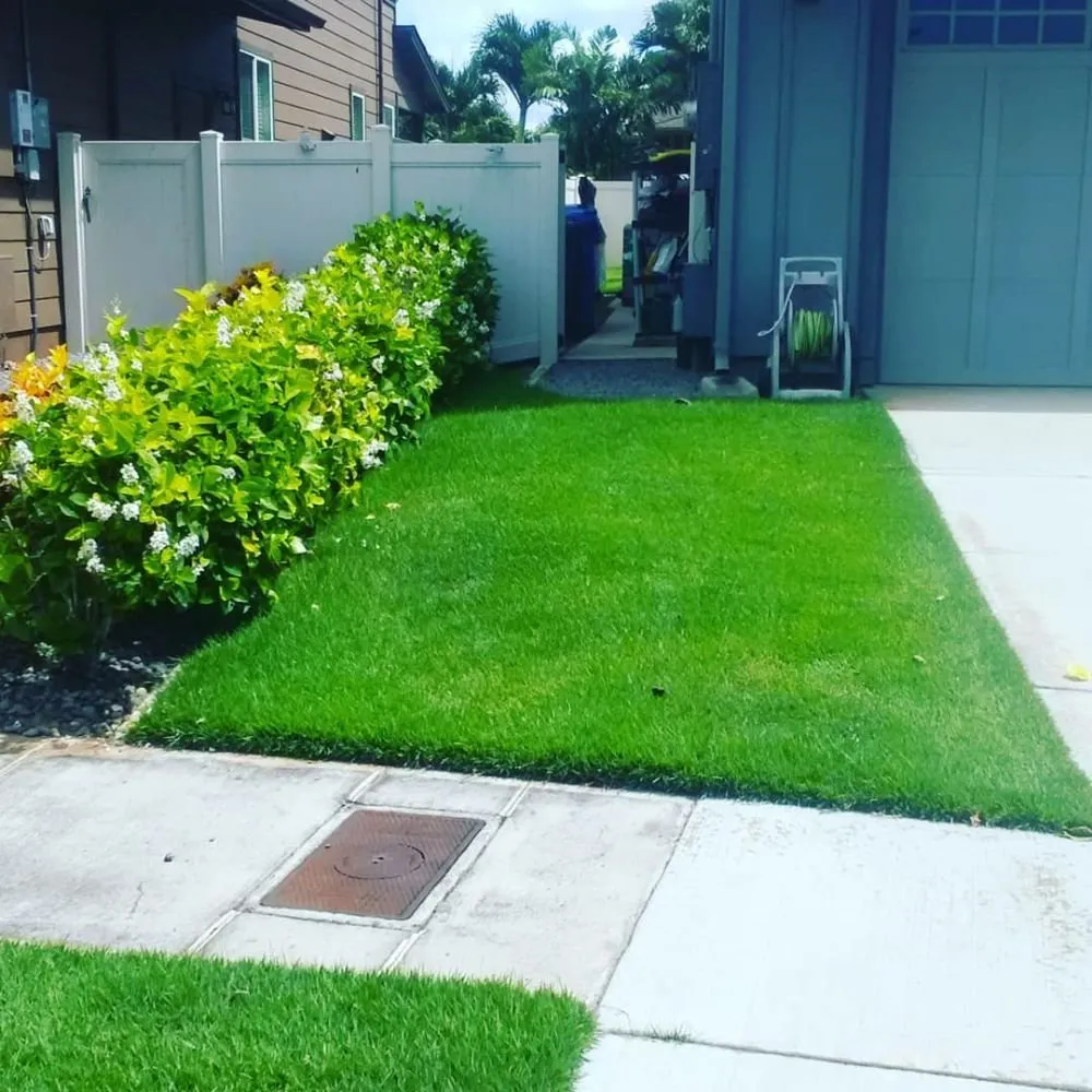 Expert outdoor landscaping experts serving Kailua, HI - Jeremys Maintenance