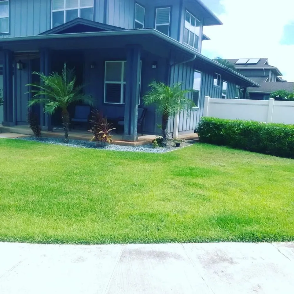 Affordable yard cleanup service in Kailua, HI - Jeremys Maintenance