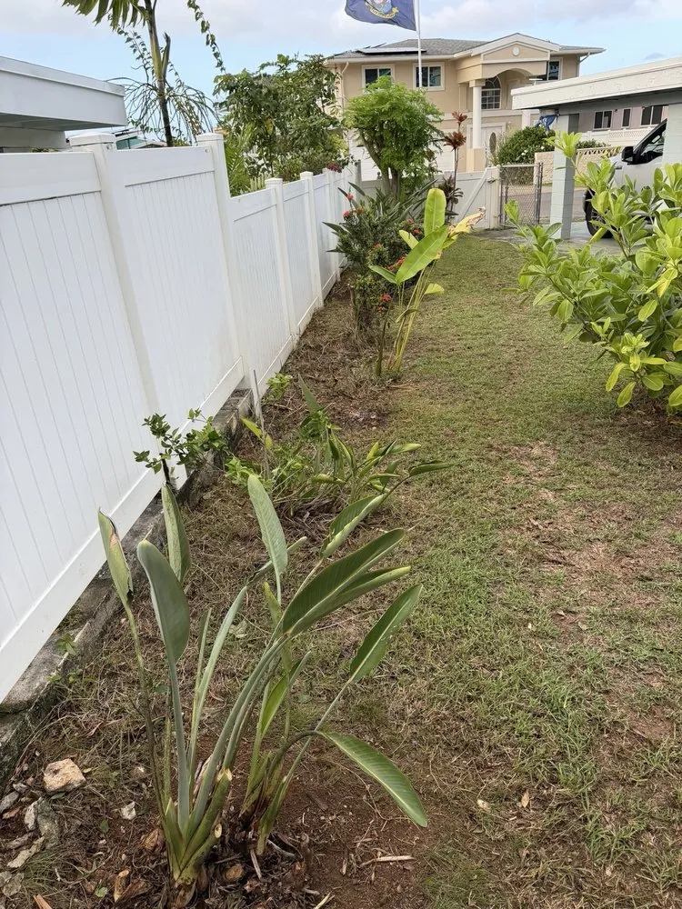 Expert outdoor landscaping near you in Kailua, HI by Jeremys Maintenance