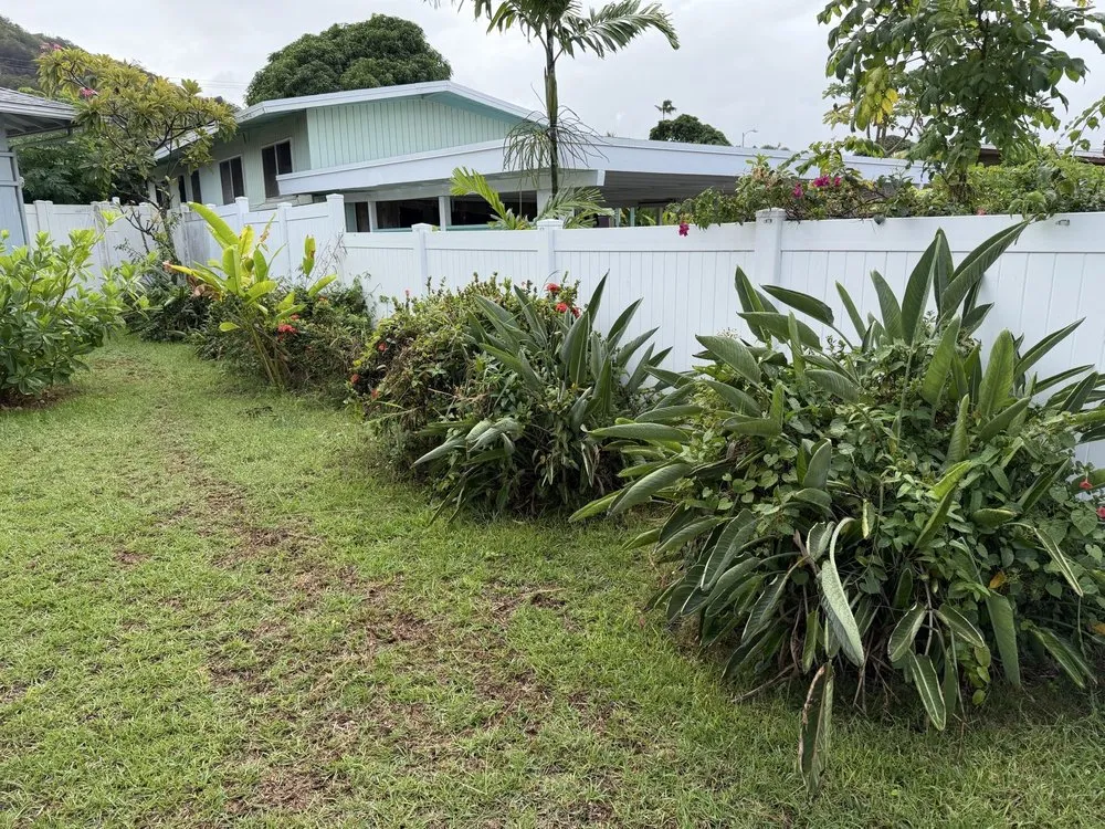 Top-rated landscape installation experts serving Kailua, HI - Jeremys Maintenance