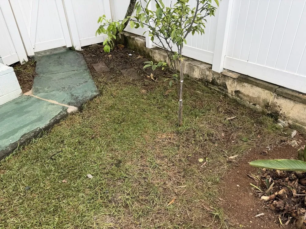 Custom landscape installation in Kailua, HI - Jeremys Maintenance