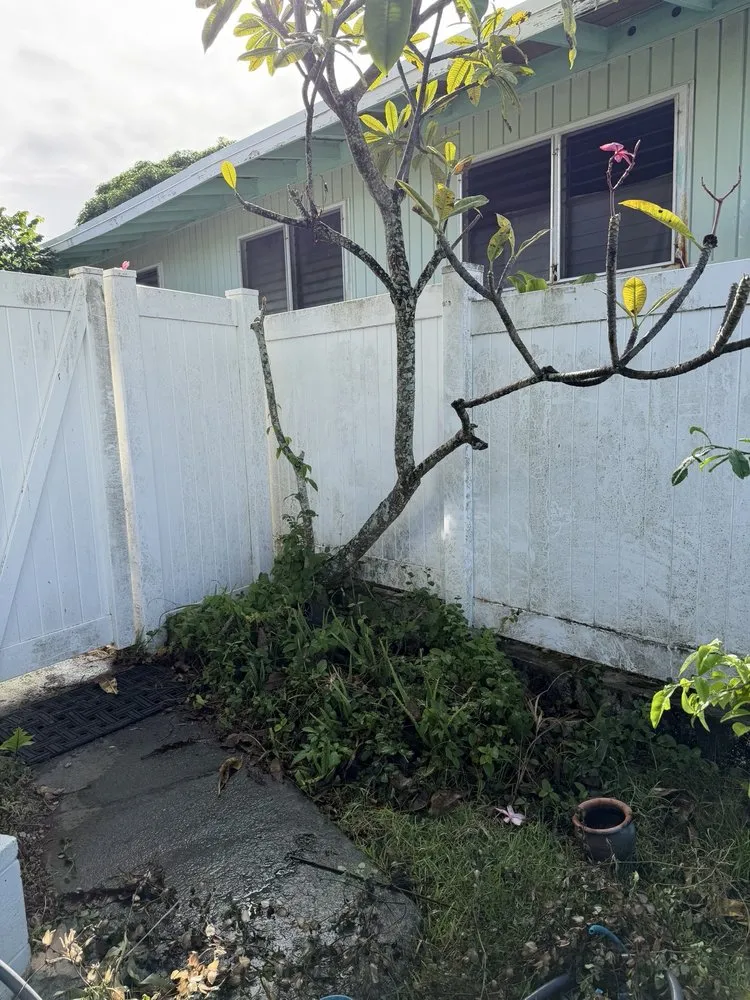 Local landscape design in Kailua, HI by Jeremys Maintenance