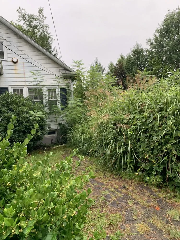 Trusted landscaping services with custom design in Stroudsburg, PA by Jeremy’s Mowing