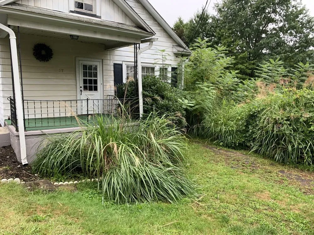 Reliable landscaping services for residential properties in Stroudsburg, PA by Jeremy’s Mowing