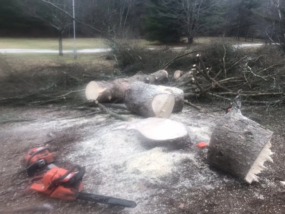 Trusted yard cleanup service experts serving Sheffield, MA - Jeremys Tree And Lawn Service