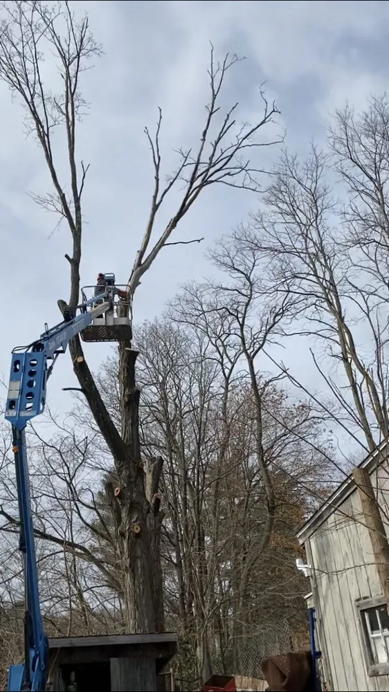 Local lawn care service experts serving Sheffield, MA - Jeremys Tree And Lawn Service