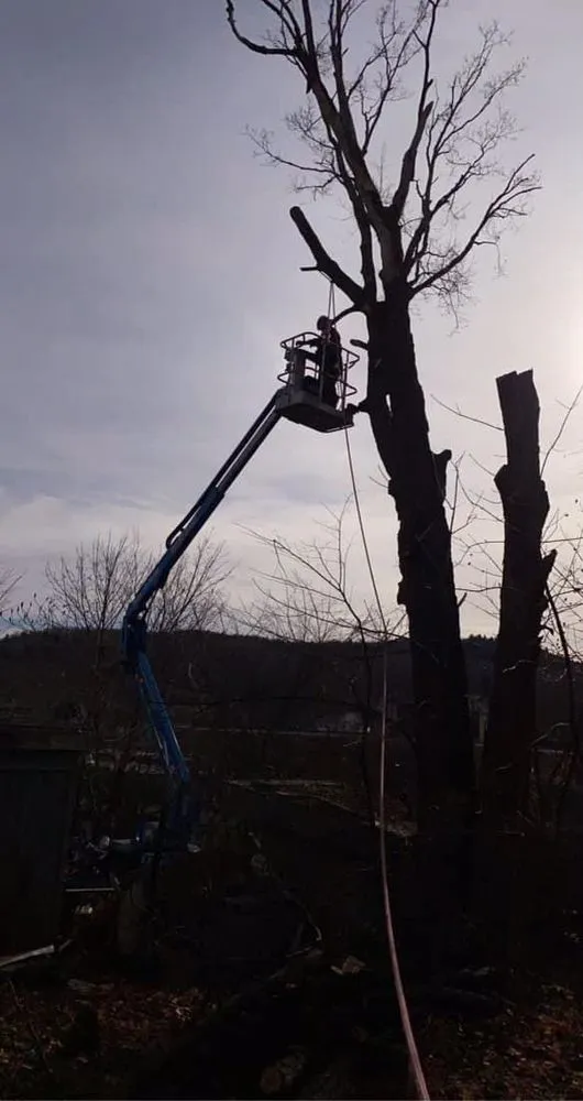 Top-rated outdoor landscaping with custom design across Sheffield, MA - Jeremys Tree And Lawn Service