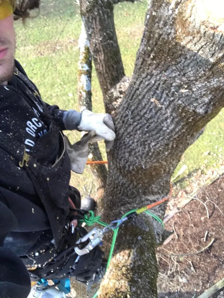 Top-rated residential landscaping experts serving Sheffield, MA - Jeremys Tree And Lawn Service