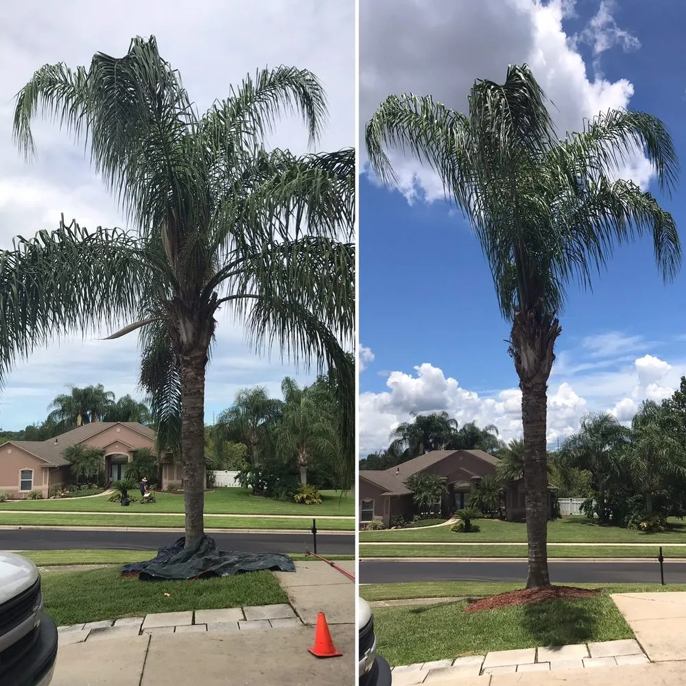 Local landscape installation experts serving Clermont, FL - Jerez Landscaping and Pressure Wash