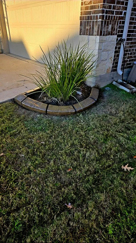 Custom landscaping services for beautiful yards across Cypress, TX - Jerico Curbing Services