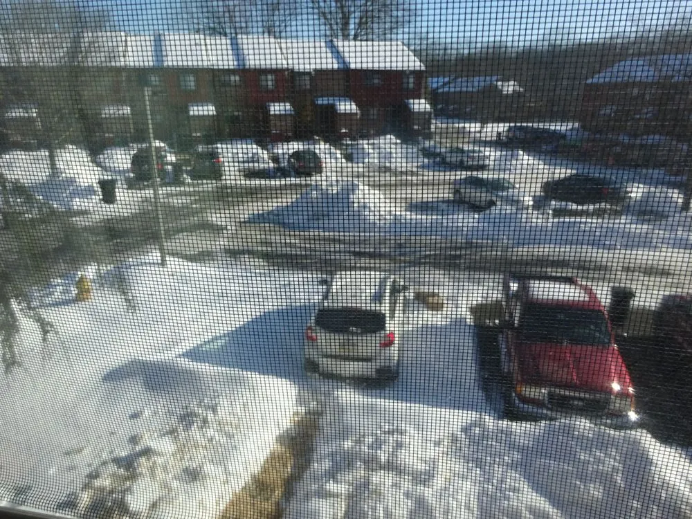 Custom landscaping services for beautiful yards across Skippack, PA - Jermacans Style Landscaping