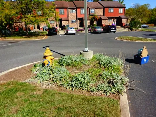 Jermacans Style Landscaping