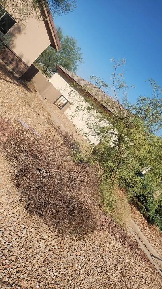 Custom garden landscaping experts serving Phoenix, AZ - Jermaine Landscaping Services