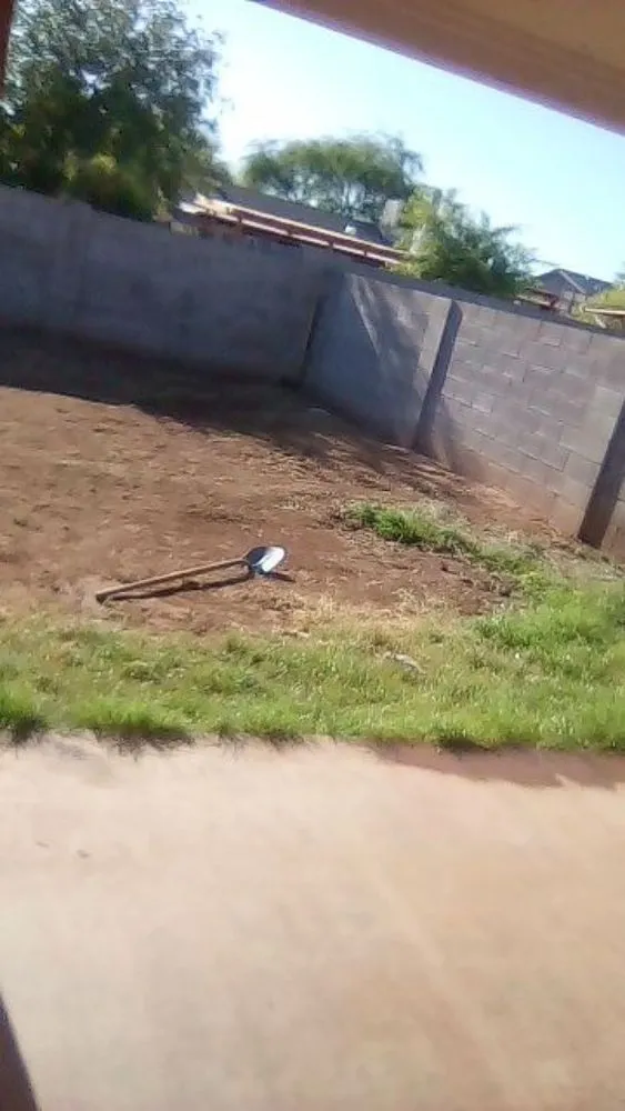 Affordable yard maintenance in Phoenix, AZ by Jermaine Landscaping Services