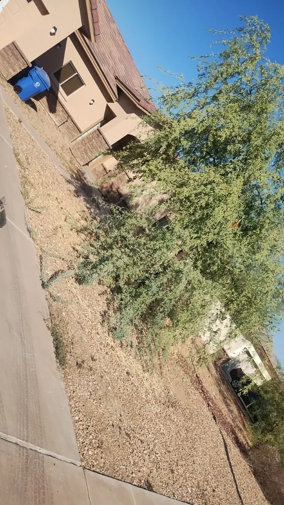 Professional garden landscaping with custom design across Phoenix, AZ - Jermaine Landscaping Services