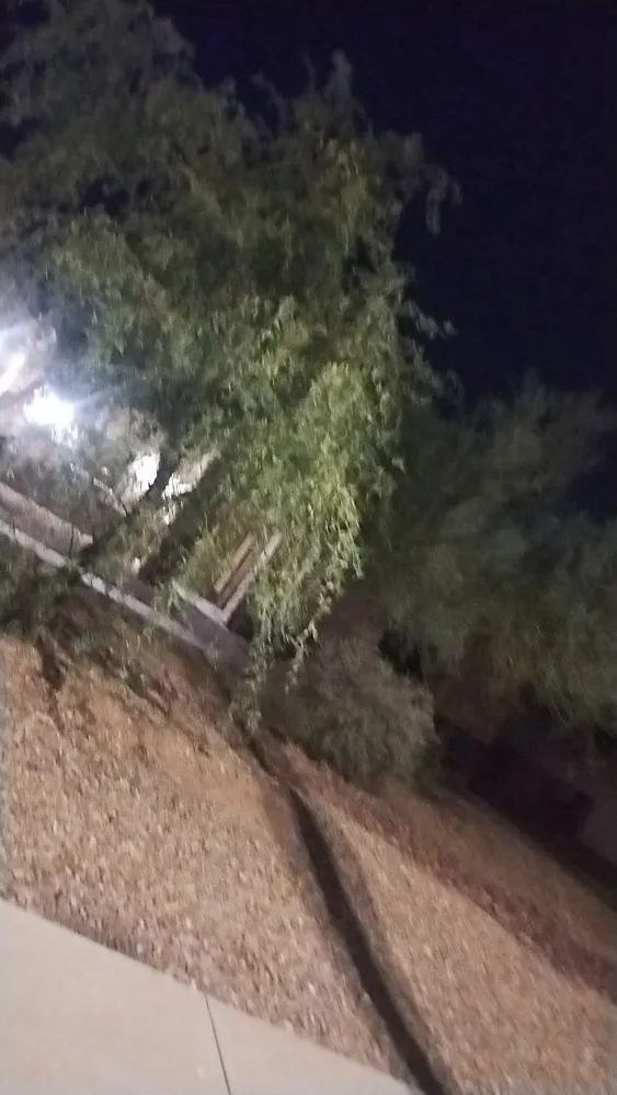 Expert outdoor landscaping in Phoenix, AZ by Jermaine Landscaping Services